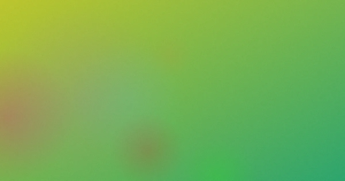 凉宫春日的忧郁避坑指南